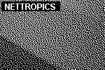 Nettropics